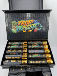BUY HOLLOWTIPS 2G DISPOSABLE ONLINE